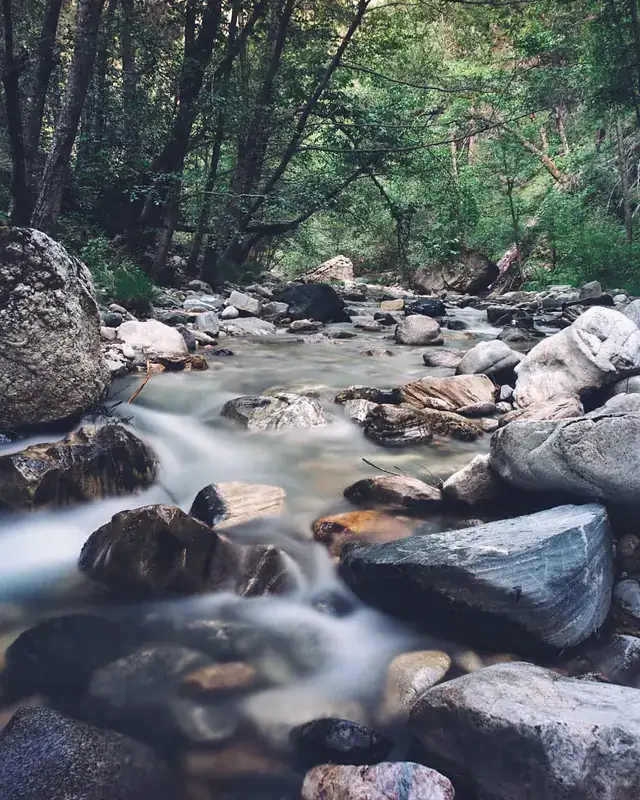Mountain creek flowing through a hardwood forest in Western North Carolina near Murphy